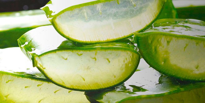 El mas puro gel de aloe